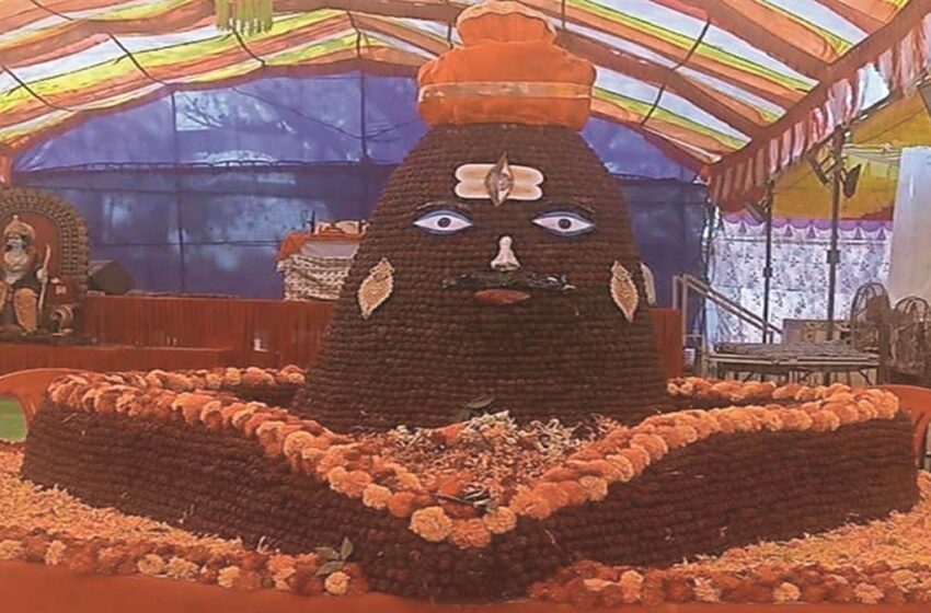  भिलाई में महाशिवरात्रि के पहले भोले की भक्ति शुरू, 16 हजार रुद्राक्ष से बनाया शिवलिंग, द्वादश ज्योतिर्लिंग के भी होंगे दर्शन