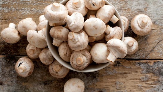  बस्तर संभाग में जहरीला मशरूम (फुट्टू) खाने से चार लोग बीमार, खाना खाते ही होने लगी उल्टी, अस्पताल में भर्ती कराया गया