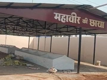  राजनांदगांव: मोहारा में ‘गौ आरोग्यम’ की शुरुआत, अब इंसानों की तरह फाइलों में दर्ज होगा गायों का मेडिकल रिकॉर्ड