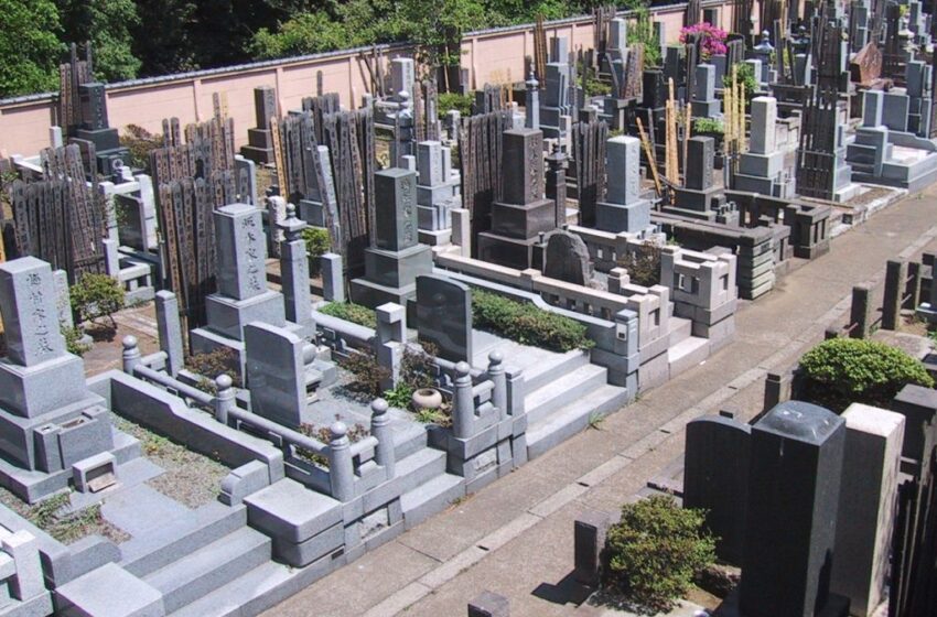  कहीं देना न पड़ जाए अंतिम संस्कार का खर्चा, पिता की लाश को 2 साल तक अलमारी में रखा; जापान में चौंकाने वाला मामला