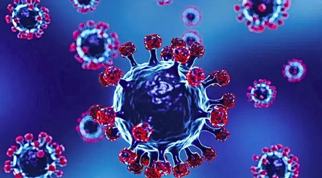  बिलासपुर में कोरोना का बड़ा विस्फोट! हाईकोर्ट के जस्टिस समेत इतने नए संक्रमित, स्वास्थ्य विभाग अलर्ट पर