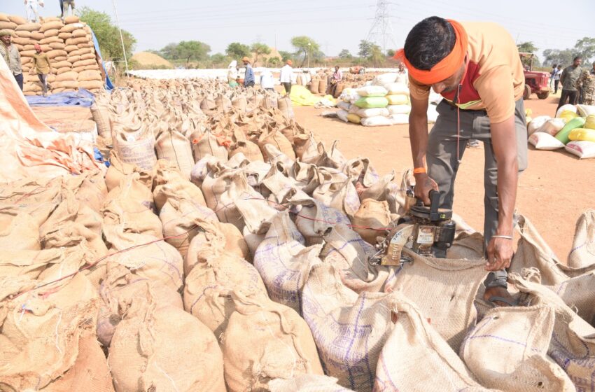  राजनांदगांव: डेढ़ माह में 71 हजार से अधिक किसानों ने बेचा धान, अब तक 37 लाख क्विंटल की खरीदी