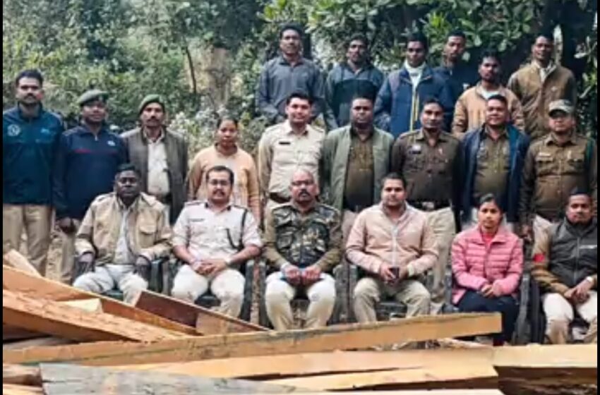  कोरबा: रेशम विभाग के कर्मचारियों के घर दबिश, 2.21 लाख की अवैध इमारती लकड़ी जब्त