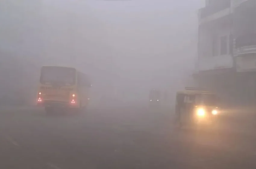  उत्तर भारत में कोहरे का कहर: यूपी, पंजाब और हरियाणा में भीषण सड़क हादसे, 50 से अधिक वाहन टकराए, 15 की मौत