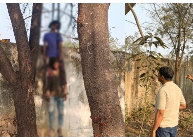 रायगढ़: चिखली गांव के पास पेड़ से लटके मिले दो युवकों के शव, इलाके में सनसनी