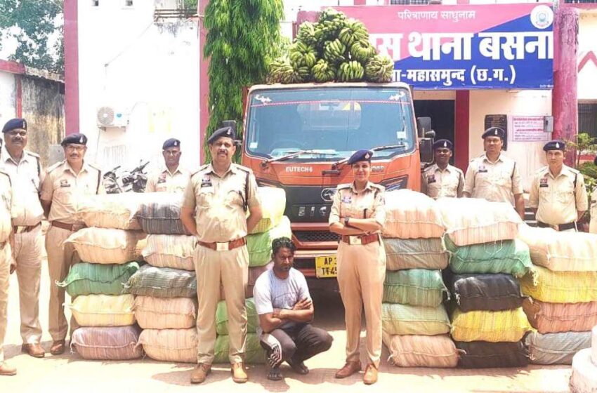  महासमुंद: केले की आड़ में ₹4.56 करोड़ का गांजा तस्करी, झारखंड का आरोपी गिरफ्तार