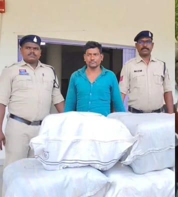  कच्चे आम की आड़ में 2 क्विंटल गांजे की तस्करी: जशपुर पुलिस ने पिकअप घेराबंदी कर तस्कर को दबोचा