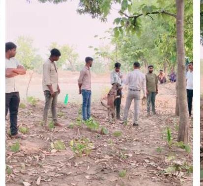  ट्रैकर डॉग ‘रूबी’ ने सुलझाई अंधे कत्ल की गुत्थी, बरभौना के जंगल में युवक की हत्या मामले में दो संदेही हिरासत में