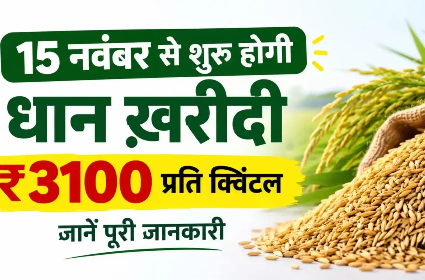  छत्तीसगढ़ में 15 नवंबर से शुरू होगी धान खरीदी: ₹3100 समर्थन मूल्य पर प्रति एकड़ 21 क्विंटल धान खरीदेगी सरकार; बायोमेट्रिक और एग्रीस्टैक अनिवार्य